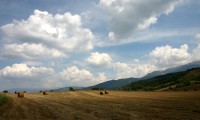 世界板球青训教材地域化翻译与本土化案例分析，板球国际赛事